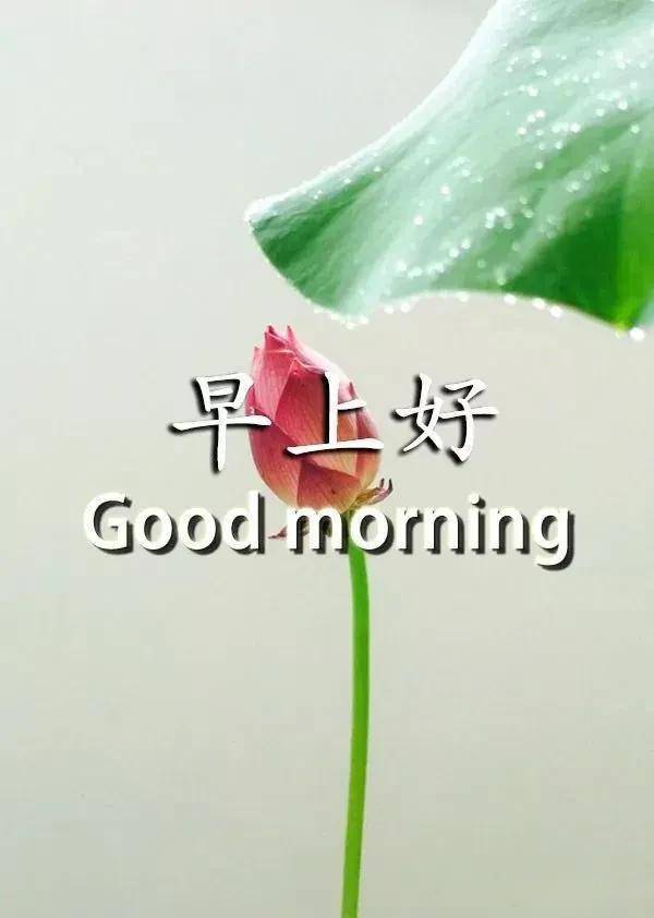 df8dc466c54b492cb0f2d57e8e7781d7.jpeg