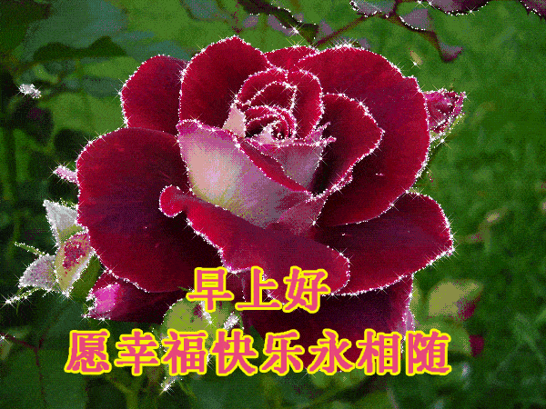 好的相逢,有些错过是避免互相折磨;此刻你别为失去难过,有缘下个路口
