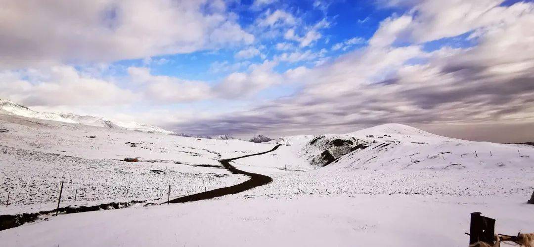 张掖:六月飞雪祁连山现"炎天飞雪"奇景