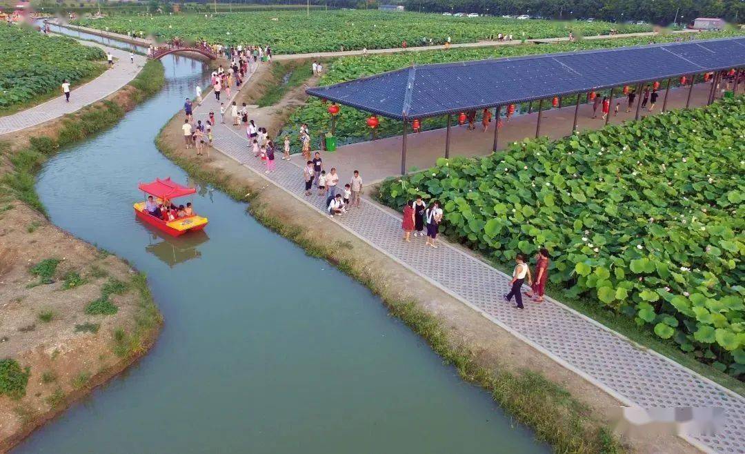 【关注】宝丰县湛河源莲花湿地景区光影荷花旅游文化节即将震撼来袭!