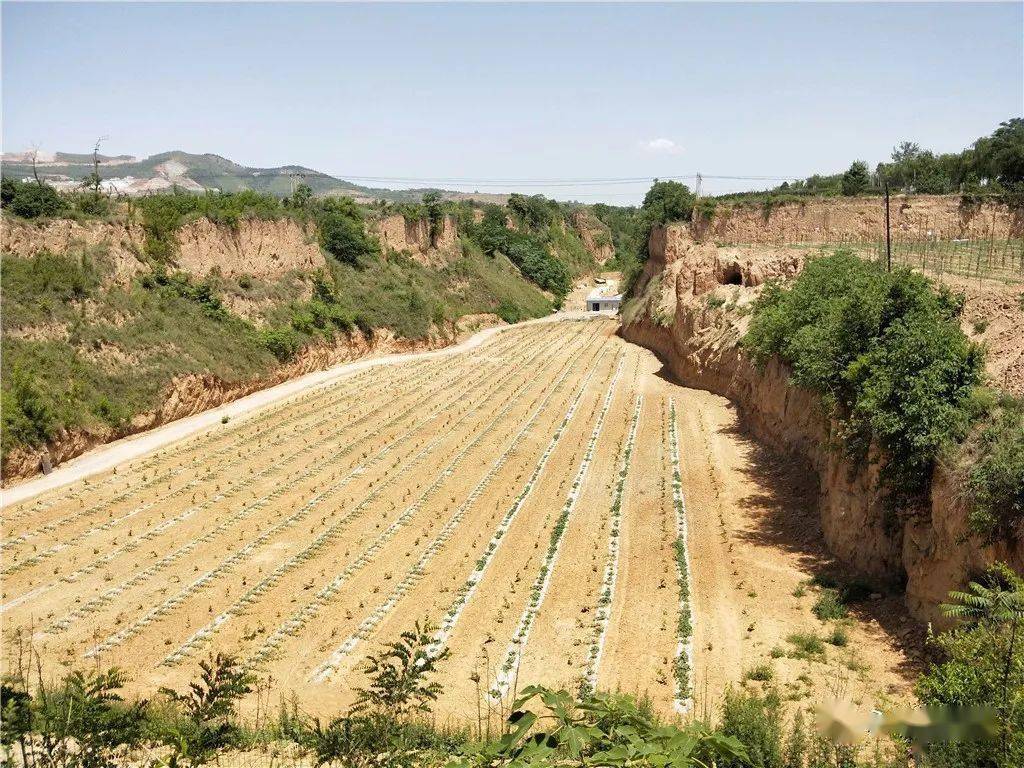 农民能产生gdp_农民简笔画(3)