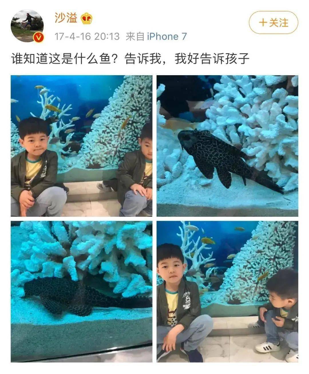 3ccf6f7dd53f4307a3543783dd1f8f83.jpeg