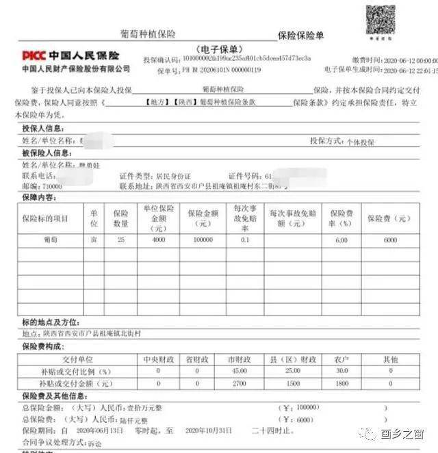 陕西首份农业险电子保单出炉:鄠邑区魏师傅给自家25亩葡萄"上保险"