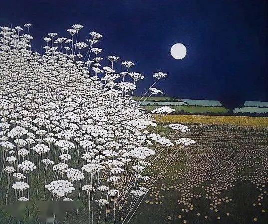 德富芦花:花月夜