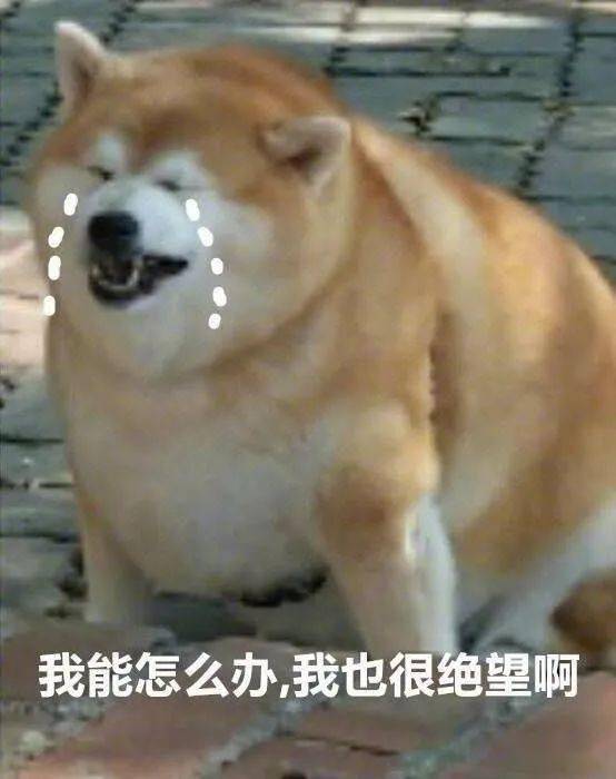 4fffba5fa6e040049a0d2450d7e7af1d.jpeg