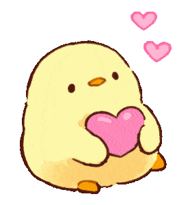 种植了一整排的腊肠树 道是有晴 摄 一眼望去 腊肠树的花朵均已盛开