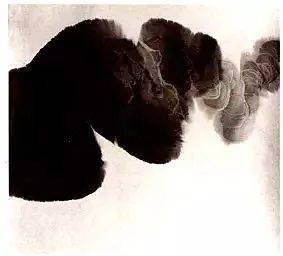 先画浓墨,再以清水破墨,冲击.