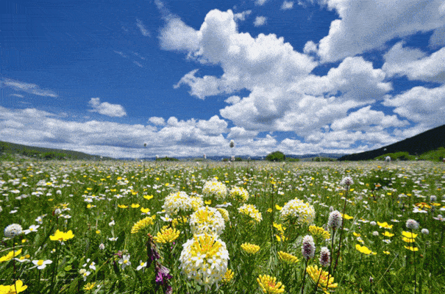 【行程安排】 d1 :乐山 —汶川— 古尔沟 约341公里 早上在指定时间