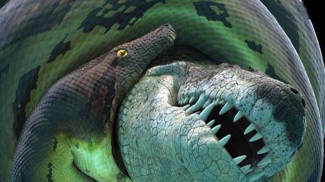 现实中的"狂蟒之灾",亚马逊丛林之王,世界上最大的蛇—森蚺