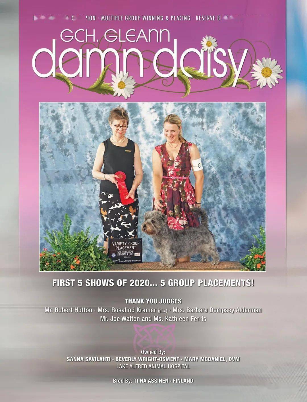 依玛排名_尔玛依娜(3)