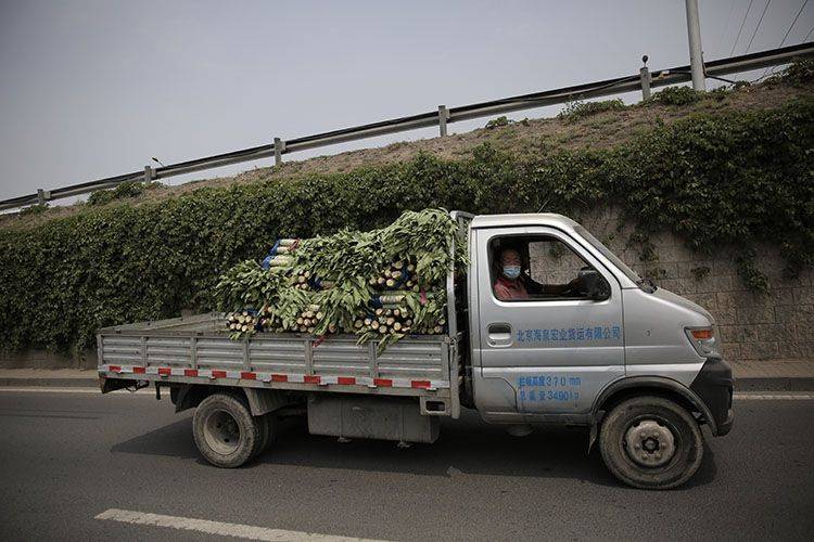 一辆运送蔬菜的小货车驶离新发地批发市场,前往指定区域.