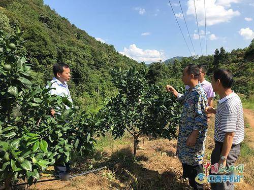 葛塘镇农村人口_农村房子图片