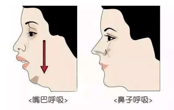 2c4b05ae569441e7a5b200e77db74a2b.png