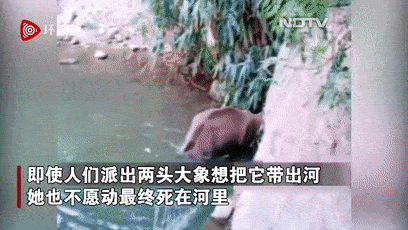 408_230gif 动态图 动图