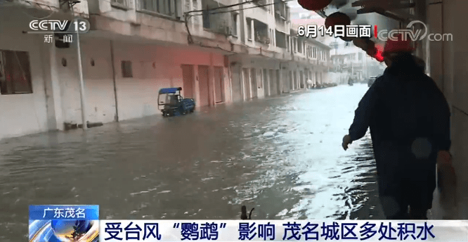 广东|受台风“鹦鹉”影响 广东茂名城区多处积水