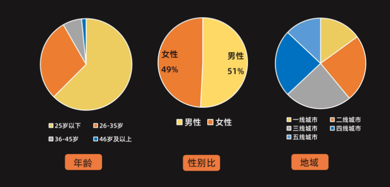 快手平台的用户画像(图源:快手官网)