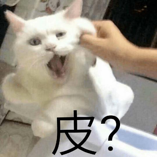 猫咪来教你:如何跟男朋友撒娇!_表情