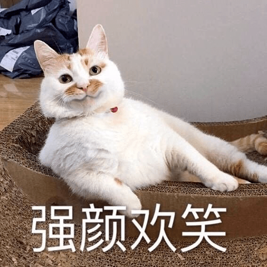 小动物场  另外我们还有官方秘密沙雕基地 (非晒猫群,只分享沙雕表情