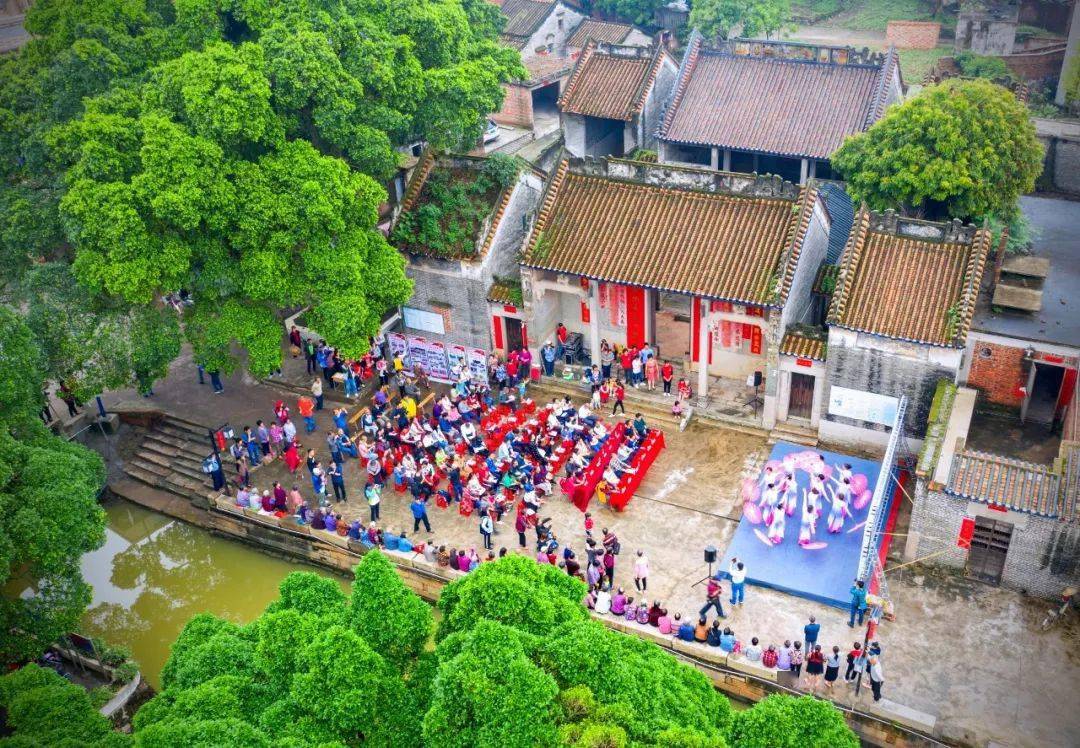 乡村振兴西樵镇儒溪村织密党建网格激发乡村治理新活力
