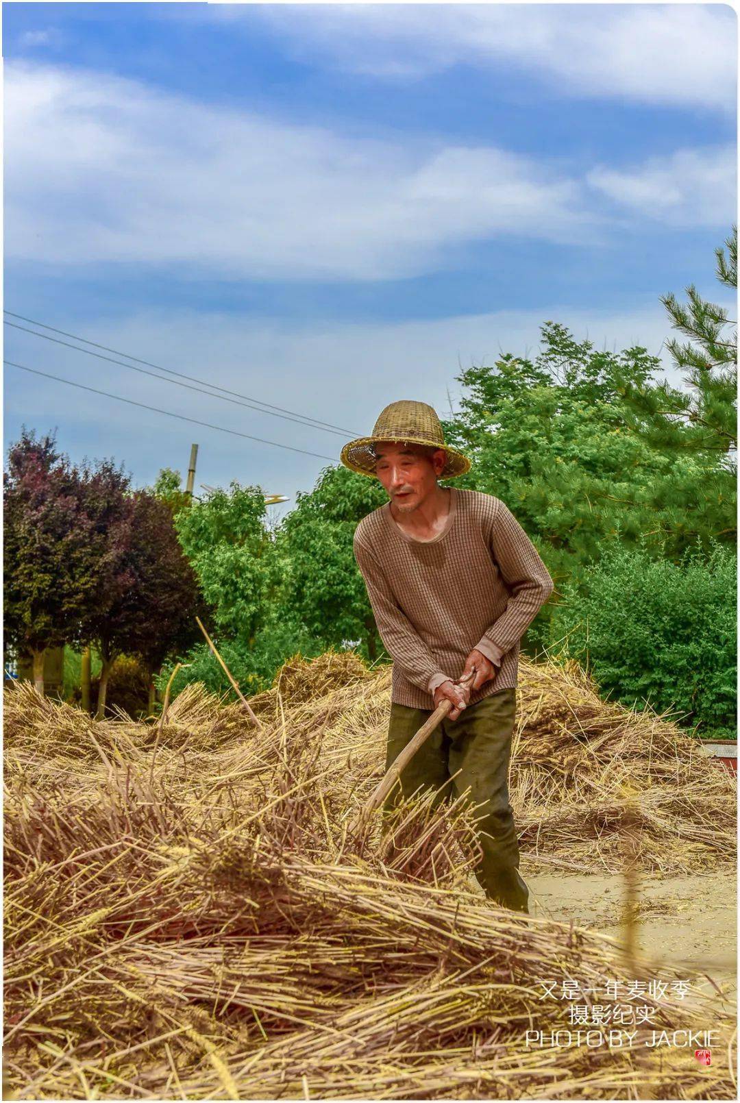 屈伟力 | 小麦,菜籽收获季 | 摄影图片记_麦田