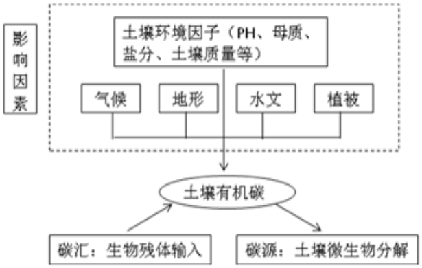 土壤有机碳的影响因素与形成和演变过程示意图