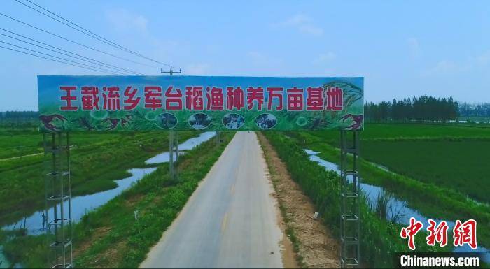 霍邱王截流乡韩台村人口_六安霍邱黄庙岗村