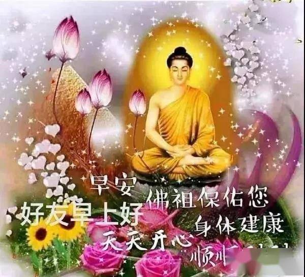 心存感恩,善待众生,积德行善,自有福报,早安
