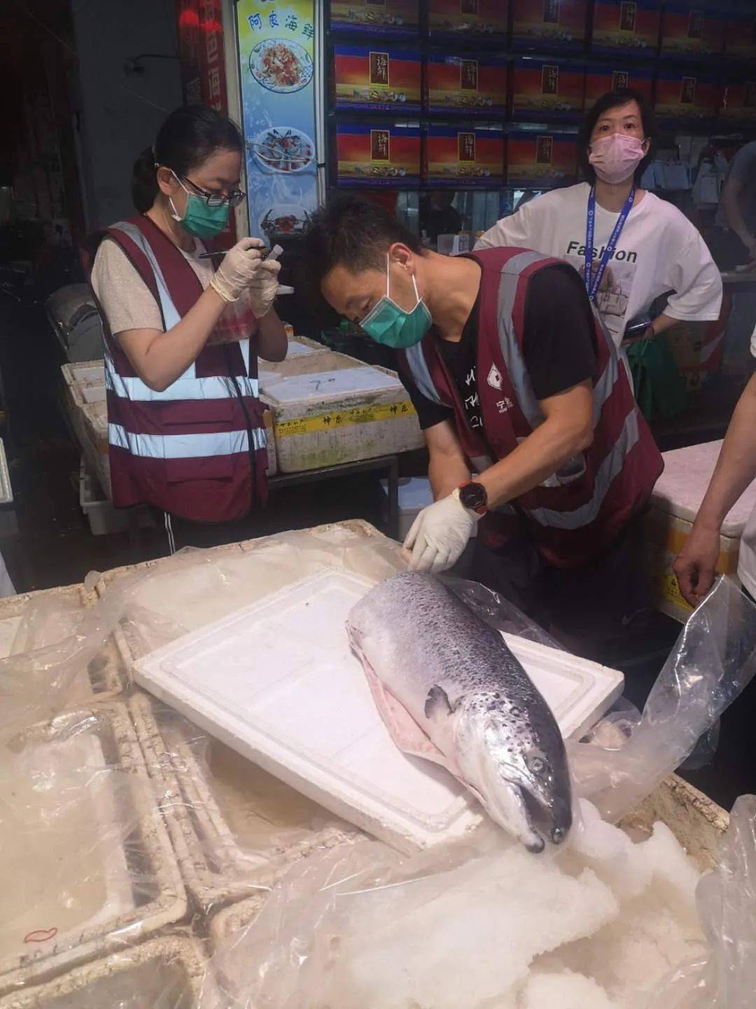 价格猛跌！三文鱼真的栽了？买一送一都没人要！