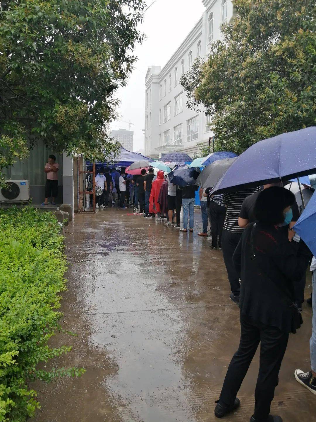 项城市多少人口_项城市地图