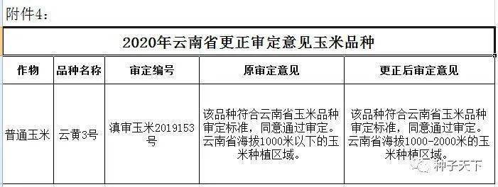 云南初审通过258个稻小麦大豆玉米新品种撤销4个玉米审定品种