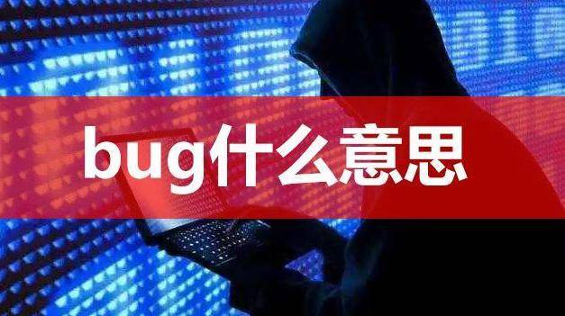 bug什么意思网络语言bug什么意思什么是bug一起来看看