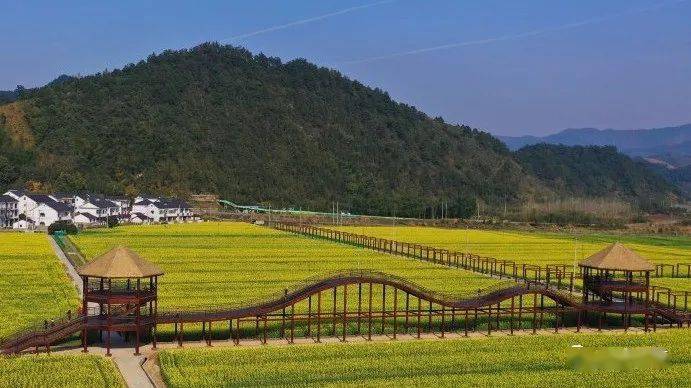 大路村合岭村茆坪村后溪村向下滑动查看更多图片五美丽生态篇线路