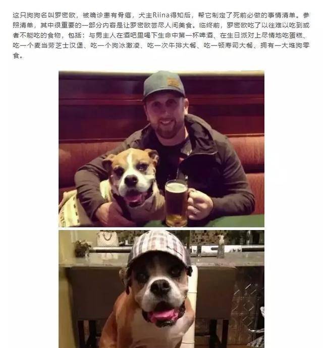 什么死狗成语_成语故事手抄报(2)
