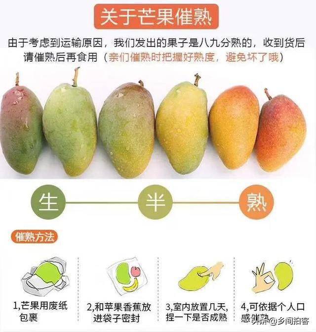 再也找不到这么便宜的芒果了,低至3元1斤,百色贵妃芒熟了!