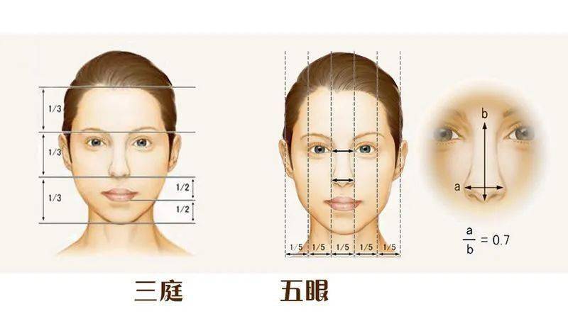 来调整三庭五眼的位置,让我们的脸更接近黄金比例