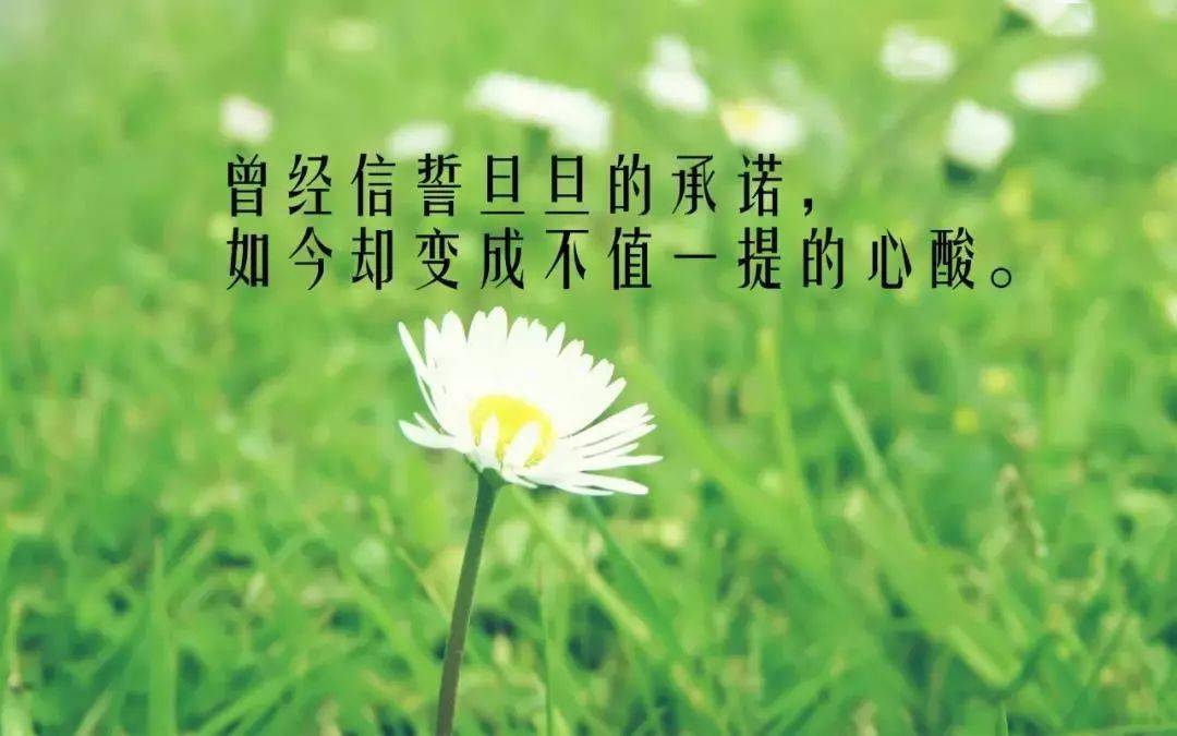 7c8a86ba529b4acda030a581a792b35e.jpeg