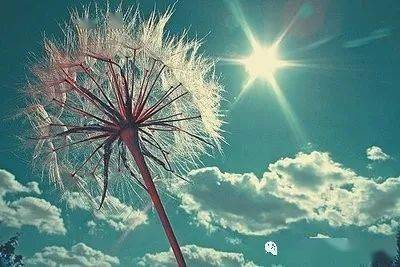 d379fbe858c248aead020ec9b1c552c1.jpeg