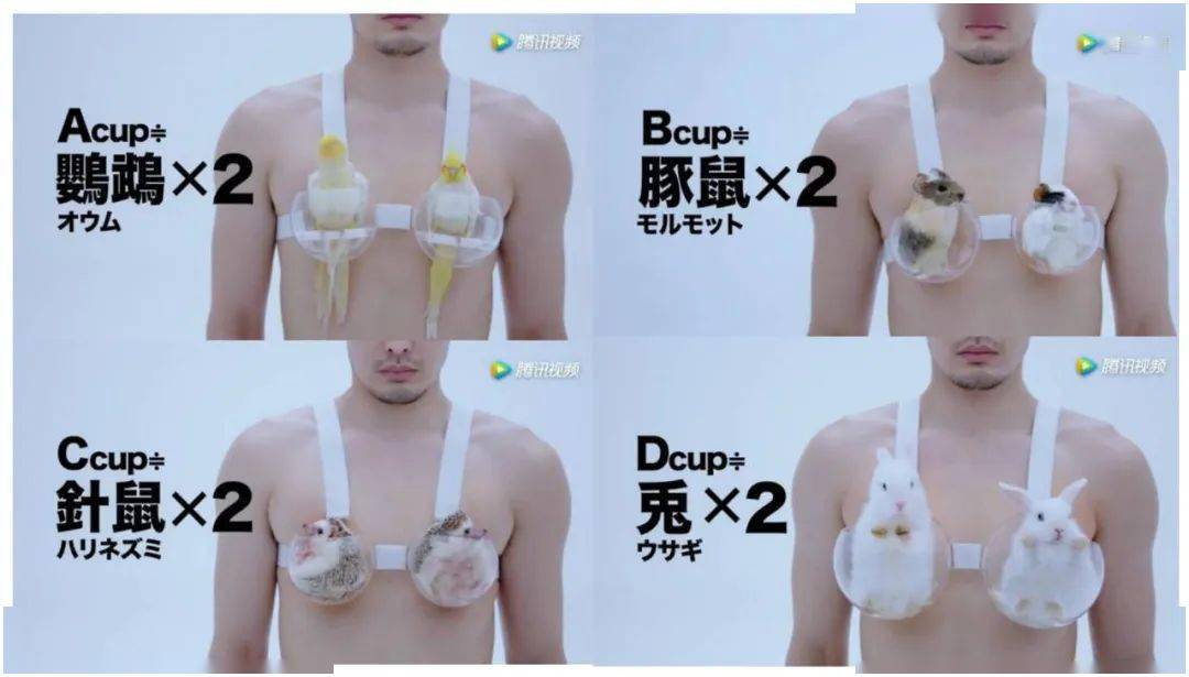 乳腺增生与内衣有关吗_男乳腺增生会自己消吗