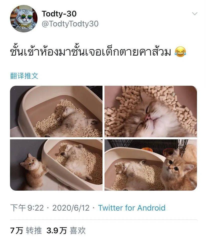 30d8ca5d14df4db5929891c11133ae35.jpeg