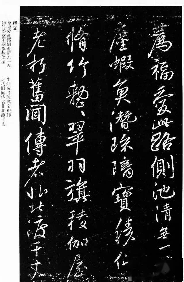 洛阳人口新政_洛阳牡丹(3)