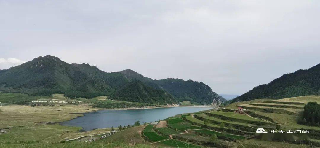 南门峡镇人口_2020南门峡镇中心学校