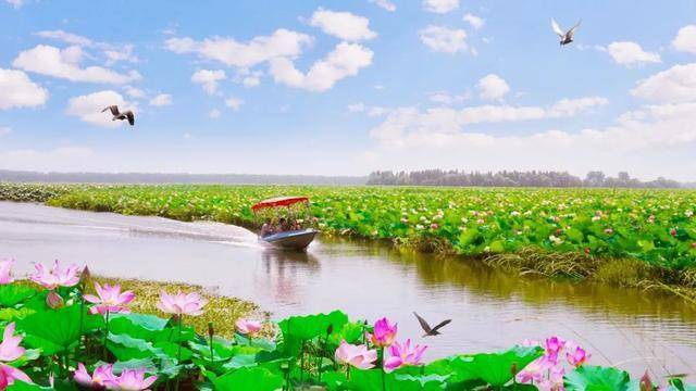 潜江返湾湖国家重要湿地