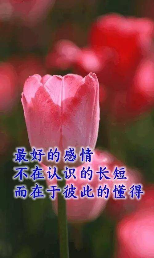 时间,带走生命过客,留下的却是真心人