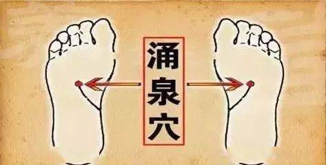 69c6f5dc83ad40b195edae631ecb57e8.jpeg