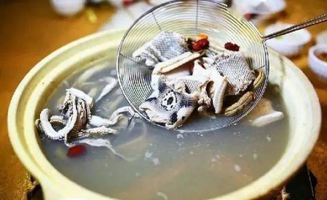 在广东吃蛇肉火锅,把"榕蛇"取片生滚,像毛肚一样涮着吃