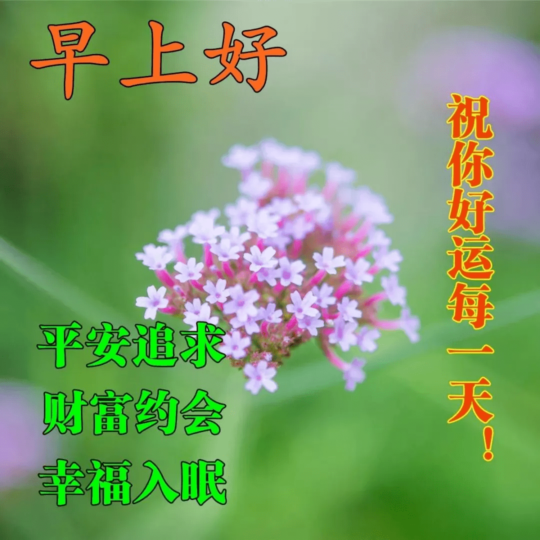 早上好,清晨唯美图片带问候,一句祝福,一份关怀.周末早安!