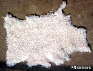 羊裘,刻画了得意就猖狂不念故旧的小人嘴脸_手机搜狐网