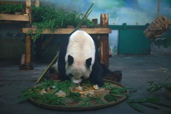 无锡|“缘大”回川，等你回来！