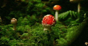 广东|135人发病，3人死亡！多地疾控紧急提醒