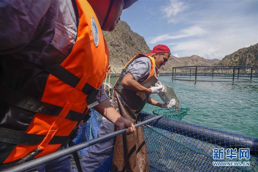 尼勒克县|天山深处牧渔乐